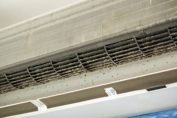 Best Air Duct Cleaning Near Me  in Edgewood, IN