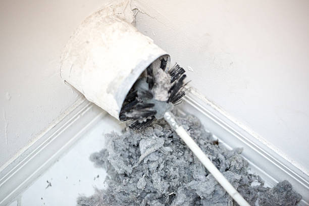 Best Local Air Duct Cleaning Services  in Edgewood, IN
